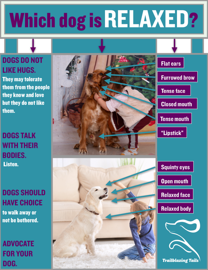 Child and Dog Interaction Guide ©