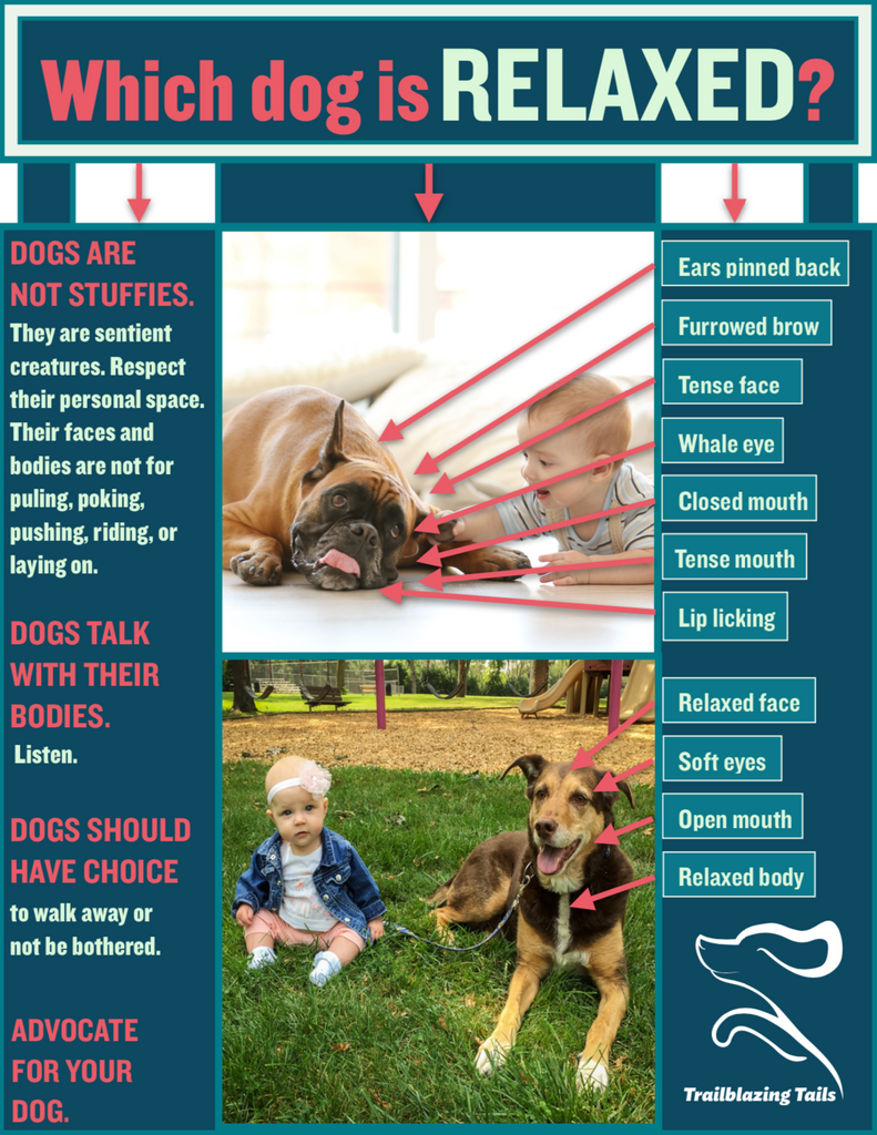 Child and Dog Interaction Guide ©
