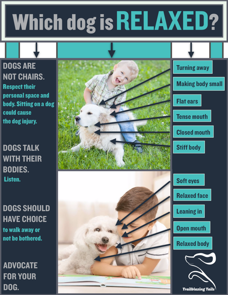 Child and Dog Interaction Guide ©