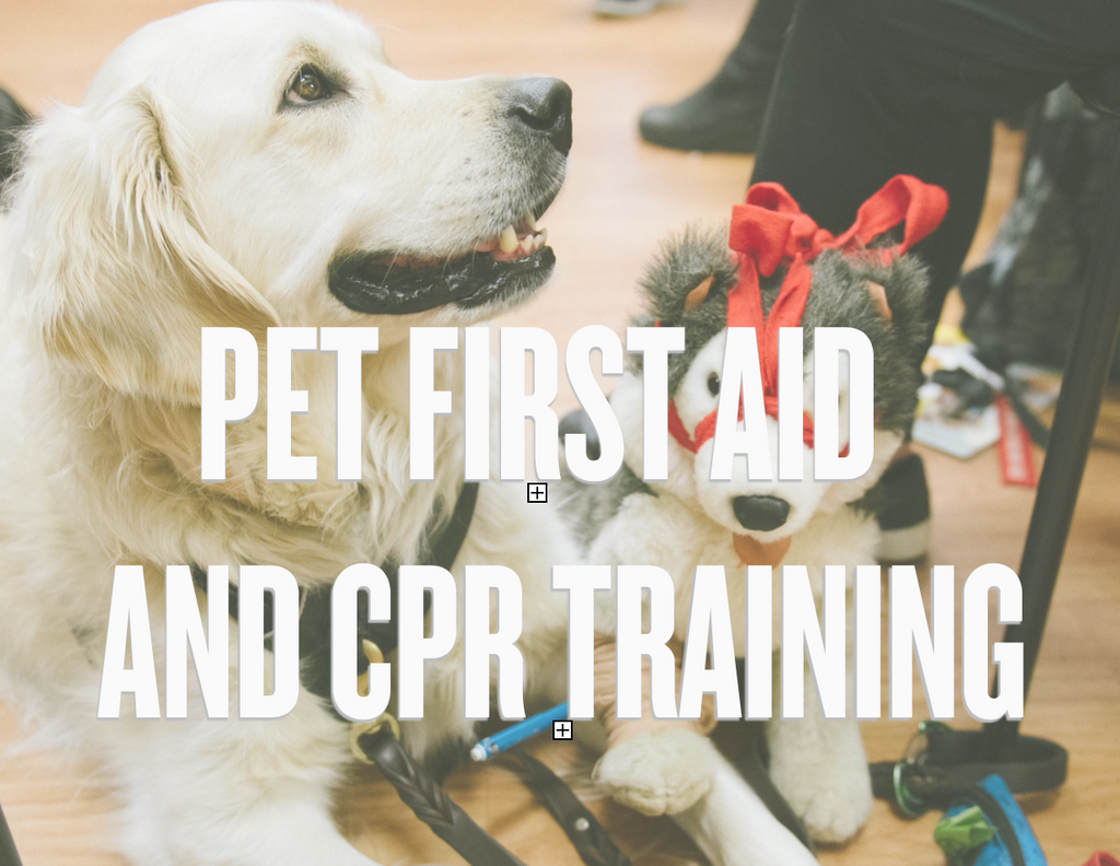 Pet First Aid and CPR Training