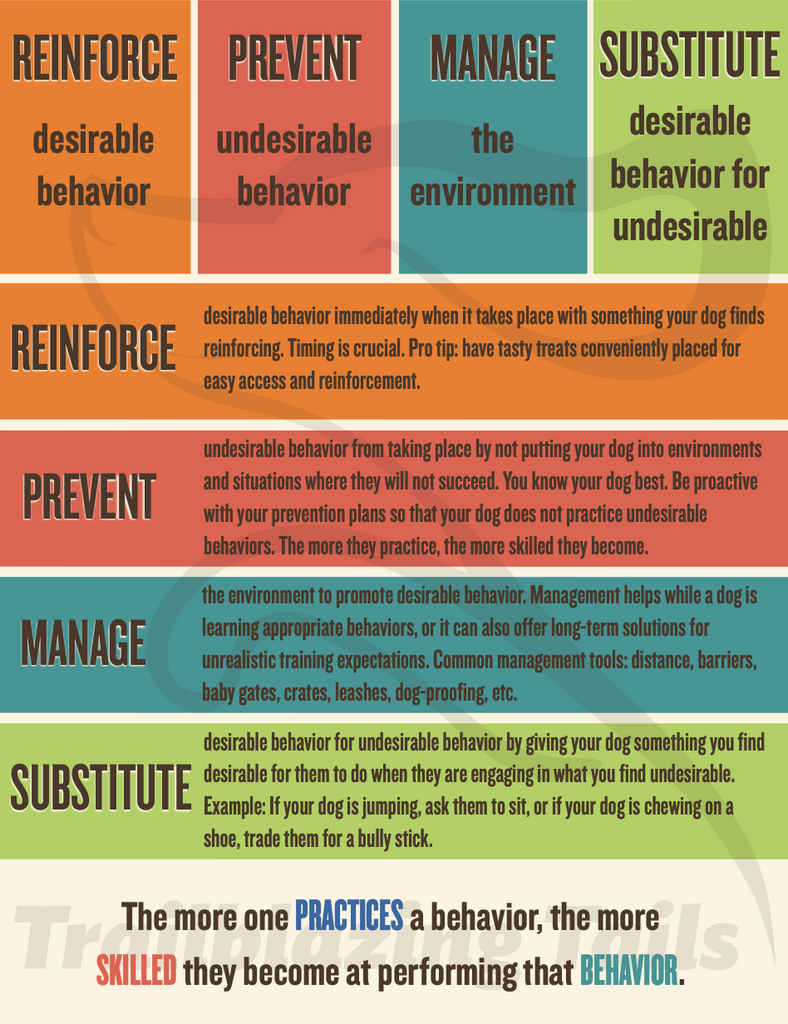 Child and Dog Interaction Guide ©