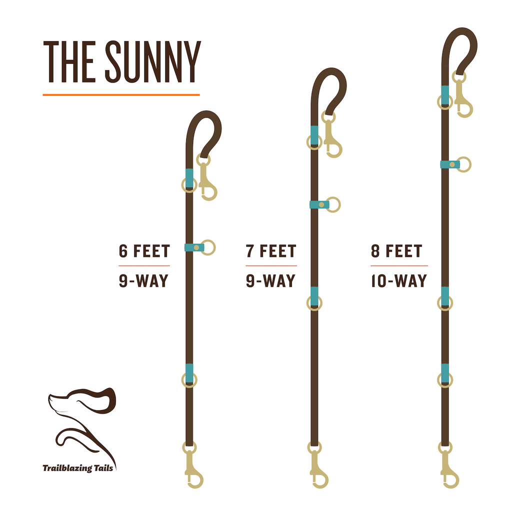 The Sunny
